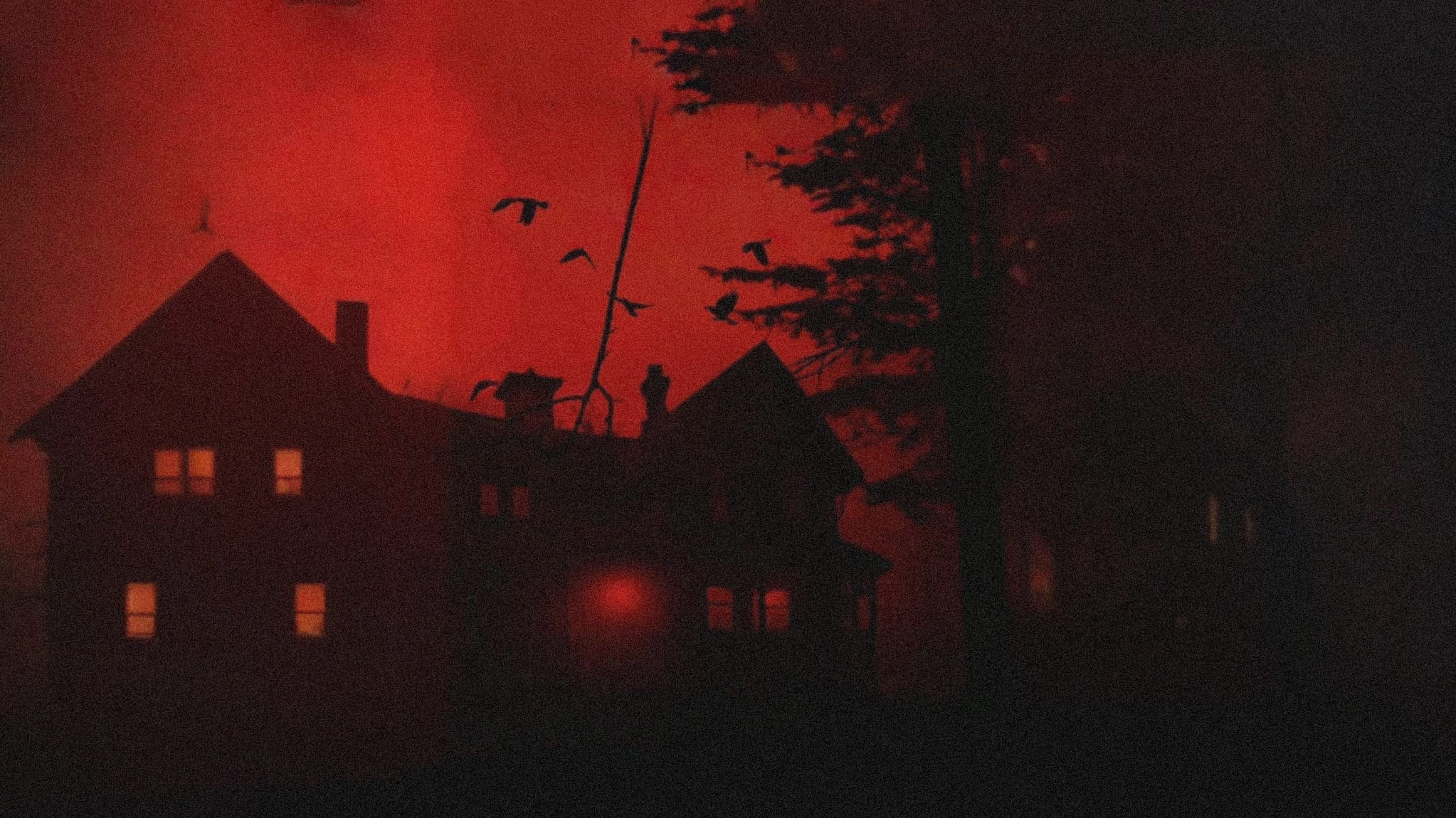 American Horror Story 13